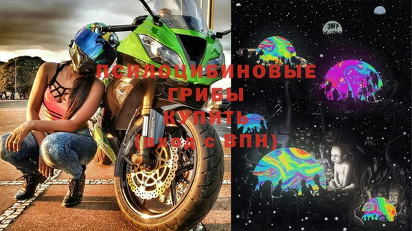 дживик Пестово