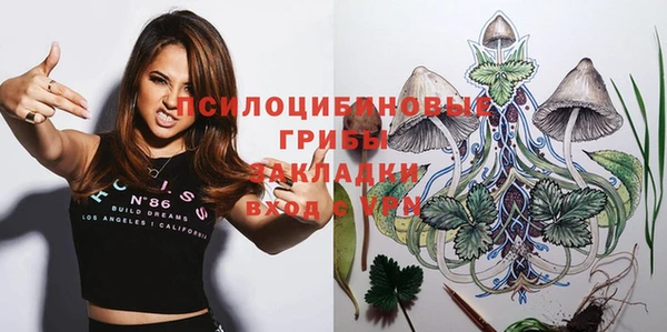 альфа пвп Няндома