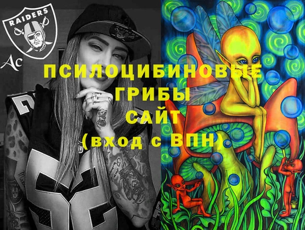 не бодяженный Арсеньев