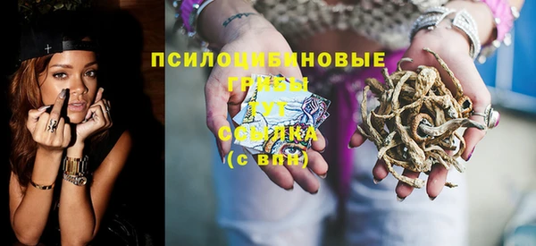 не бодяженный Арсеньев